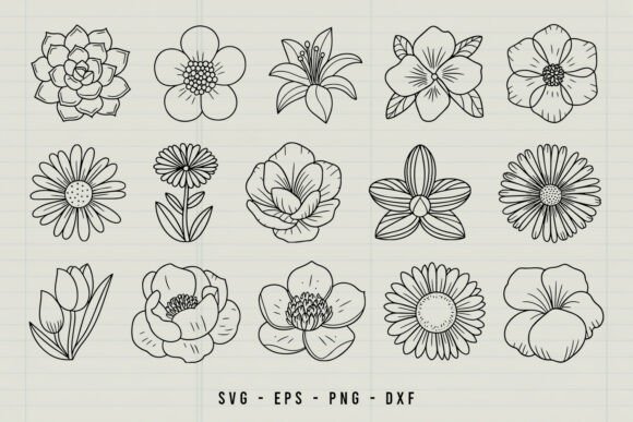 Download Hand Drawn Flower Clipart SVG Bundle - Hand drawn flower clipart Collection