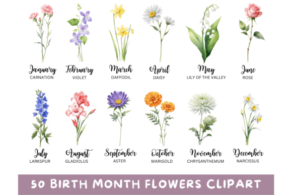 Download 50 Watercolor Birth Month Flowers PNG - Month Collection